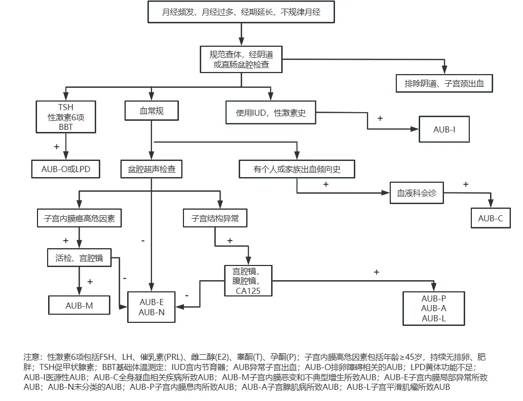 月经过多诊疗流程图